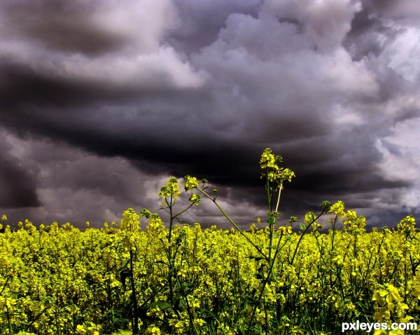 Summer storm